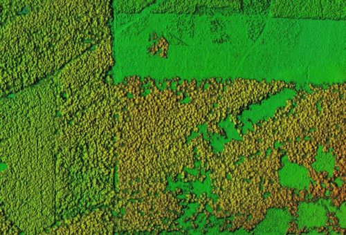 Earth Data Store Impact Story Digital Elevation Model